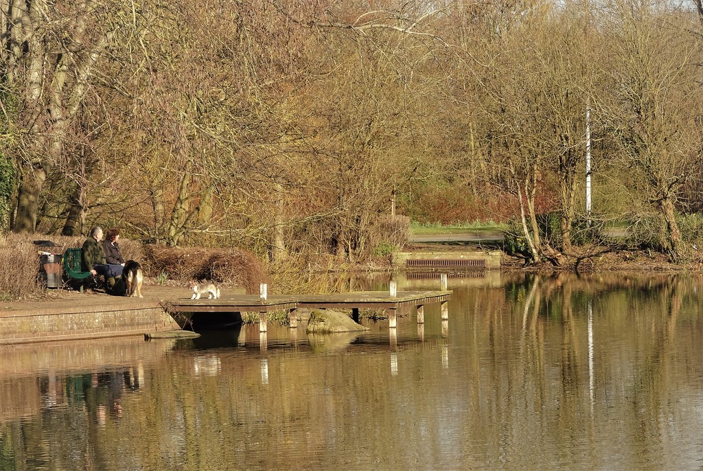 By the pond by beryl