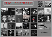 2nd Mar 2019 - flashofred collage2_365