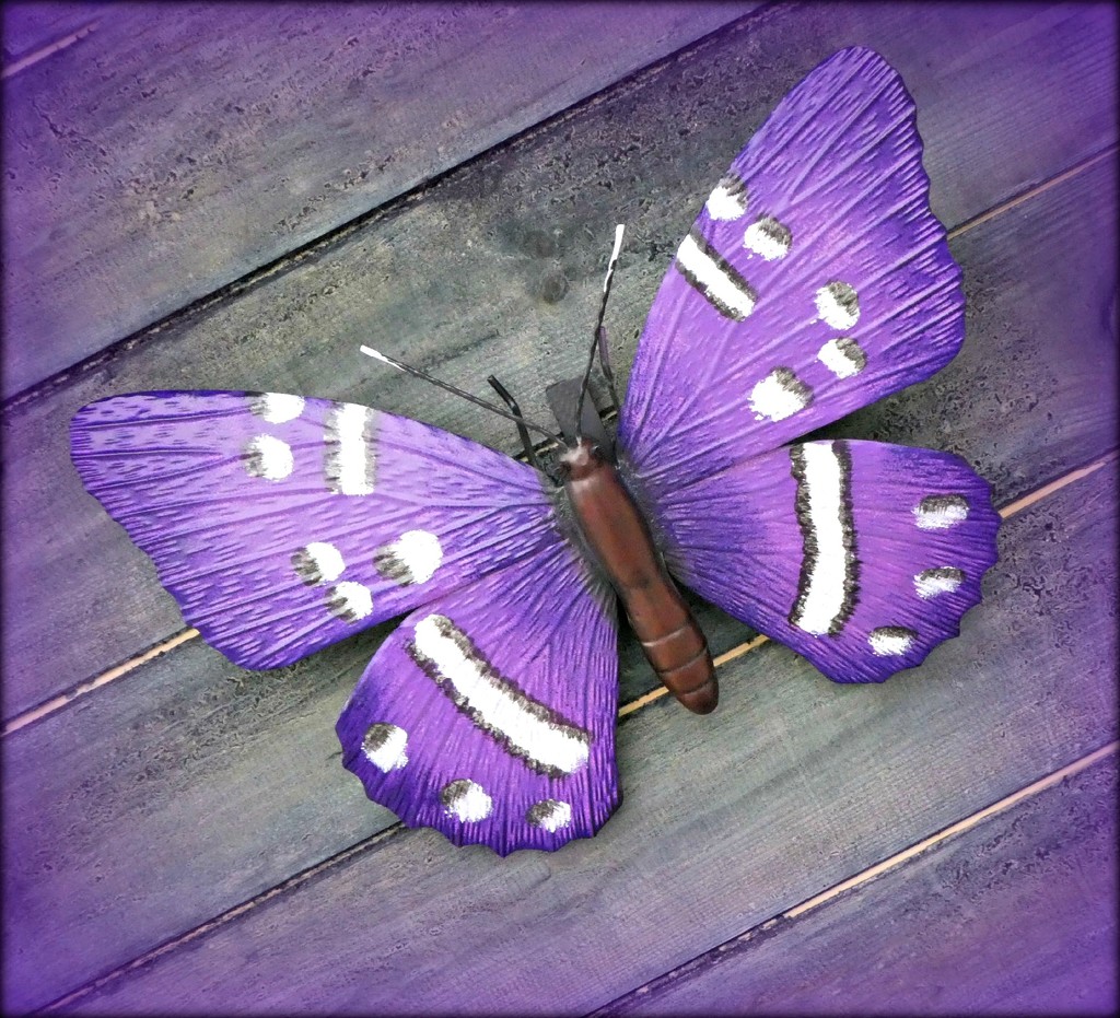 Butterfly  by wendyfrost