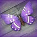 Butterfly  by wendyfrost