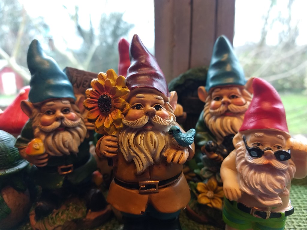 Gnome Gathering by cjwhite