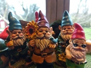 2nd Mar 2019 - Gnome Gathering