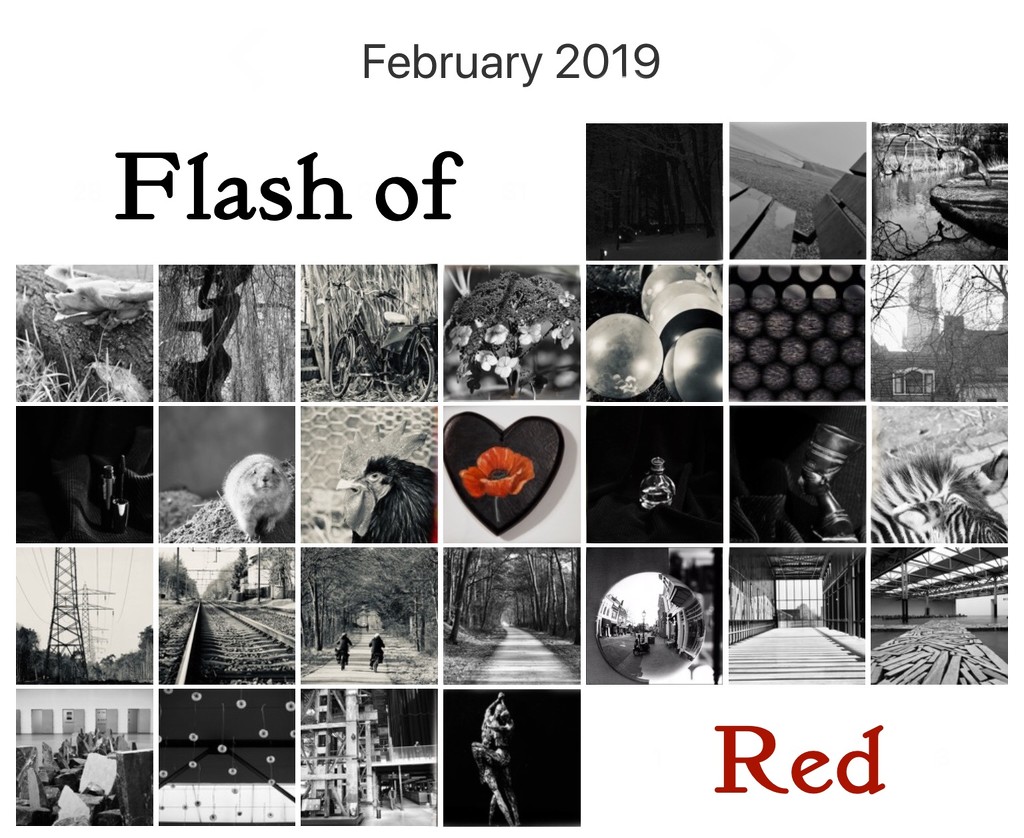 Flash of Red by jacqbb