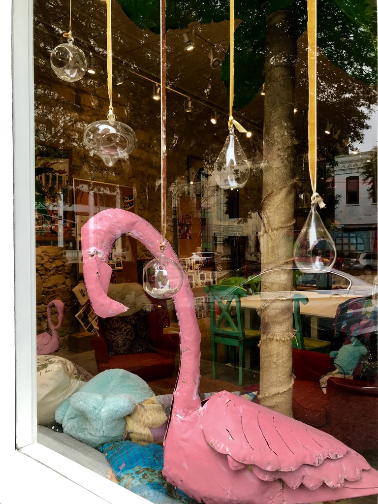 A Friday Flamingo for the Rainbow Pink Sunday by louannwarren