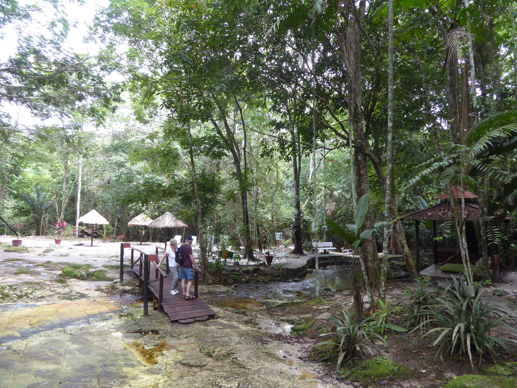 The natural swimming pool at our hotel in the Amazon.  by chimfa
