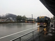 28th Feb 2019 - 2019-02-28 Rainy Bus Stop
