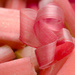 Rhubarb Ringlets by fbailey