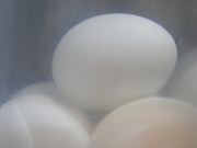 3rd Mar 2019 - Boiled Eggs