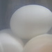 Boiled Eggs by sfeldphotos