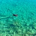 Crystal clear water.  by cocobella