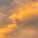 Amazing clouds at sunset the other day. by congaree