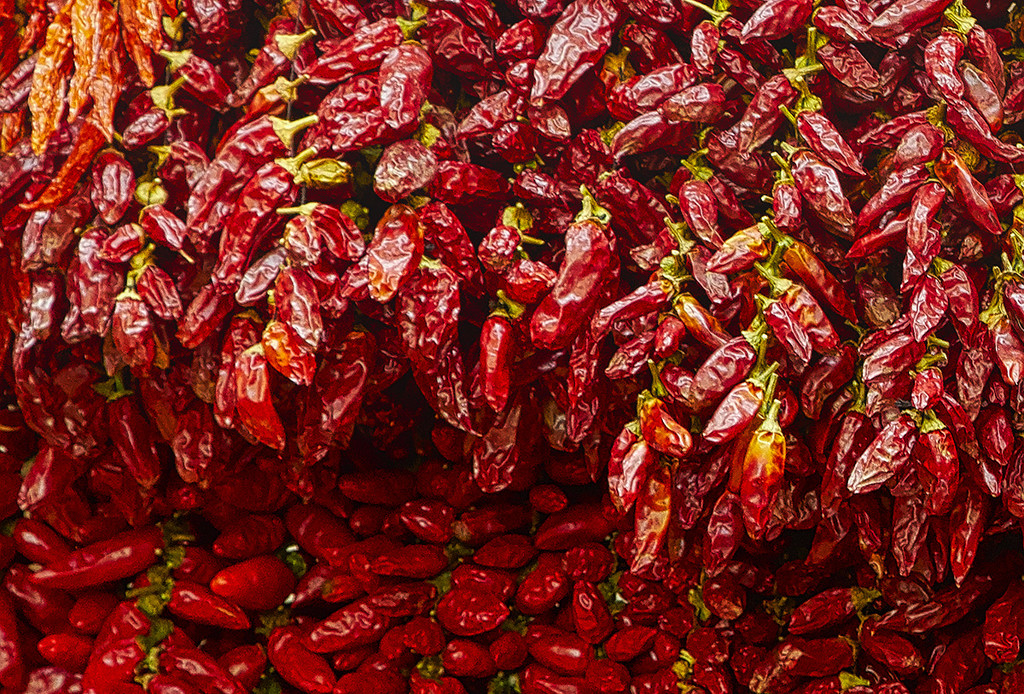 Wall of Peppers by gardencat