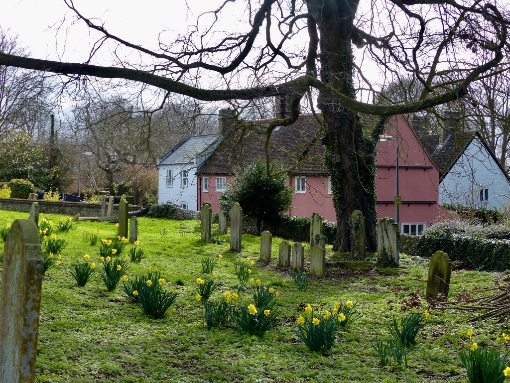 View from the Churchyard  by foxes37