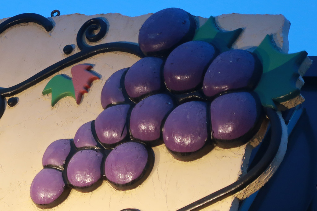 Purple grapes by ingrid01
