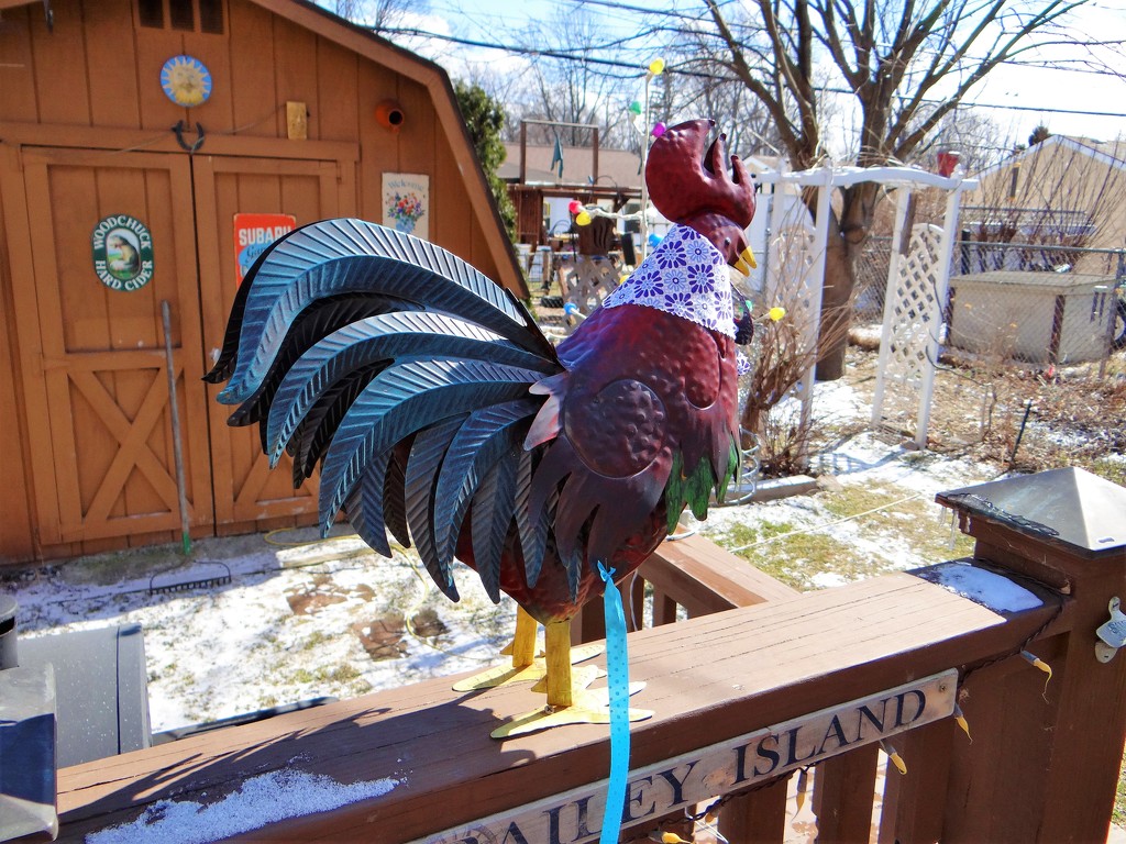 The Willoughby Weather Rooster by brillomick