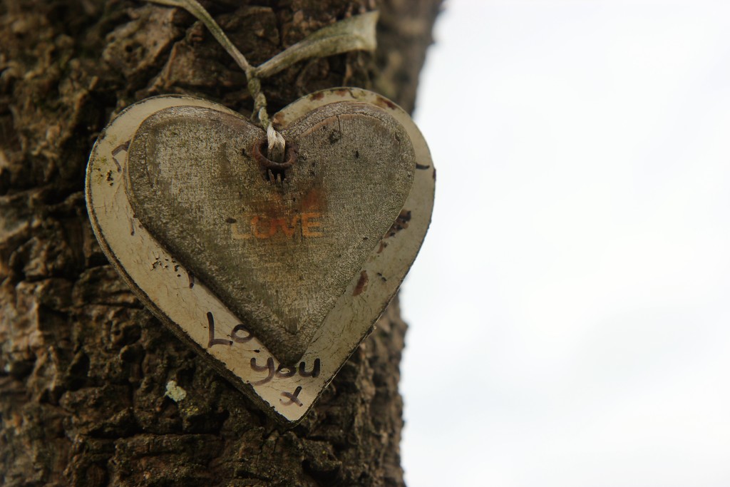 Love Heart on a Tree by cookingkaren