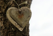 14th Feb 2019 - Love Heart on a Tree