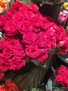 4th Mar 2019 - Roses at the supermarket 