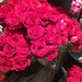 Roses at the supermarket  by kchuk