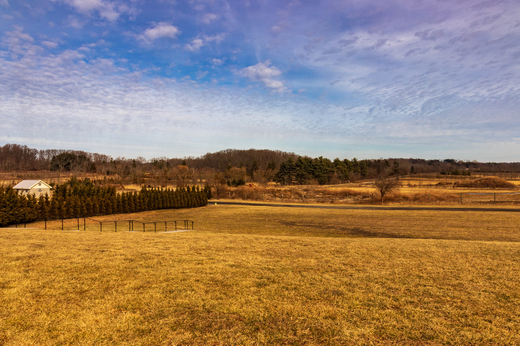 North Jersey Vineyard by swchappell
