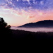 Morning View In Ashville North Carolina by randy23