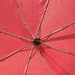 Pink umbrella by homeschoolmom