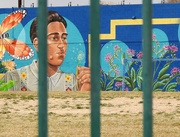5th Mar 2019 - Summer Mural in Winter through a Fence