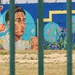 Summer Mural in Winter through a Fence by janeandcharlie