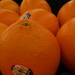 Orange Oranges by spanishliz