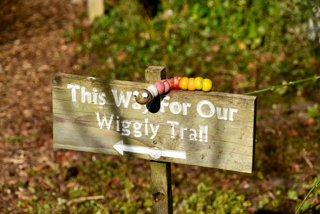 Wiggly Trail by gillian1912