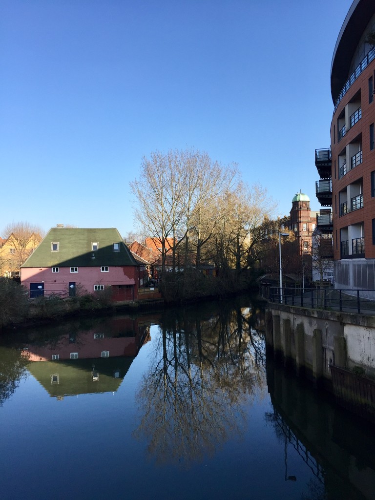 River Wensum by gillian1912
