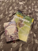 3rd Mar 2019 - Bed time reading