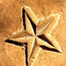Star in Stone by judyc57