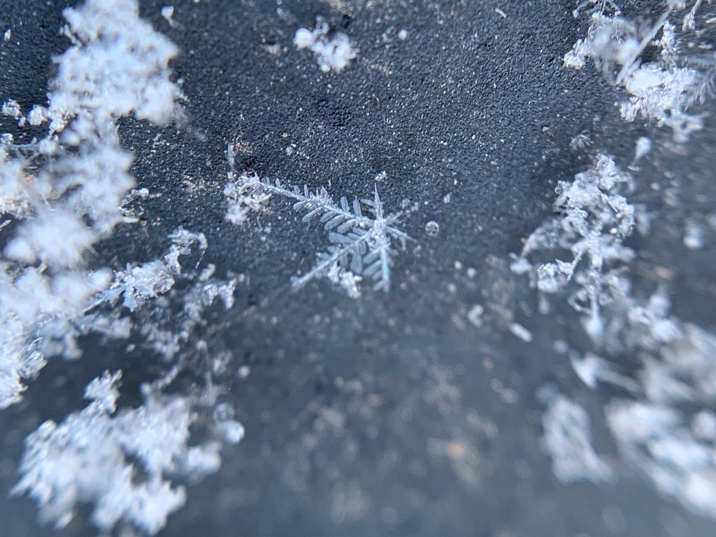 Snowflake by kdrinkie