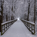 Snowy Bridge by loweygrace