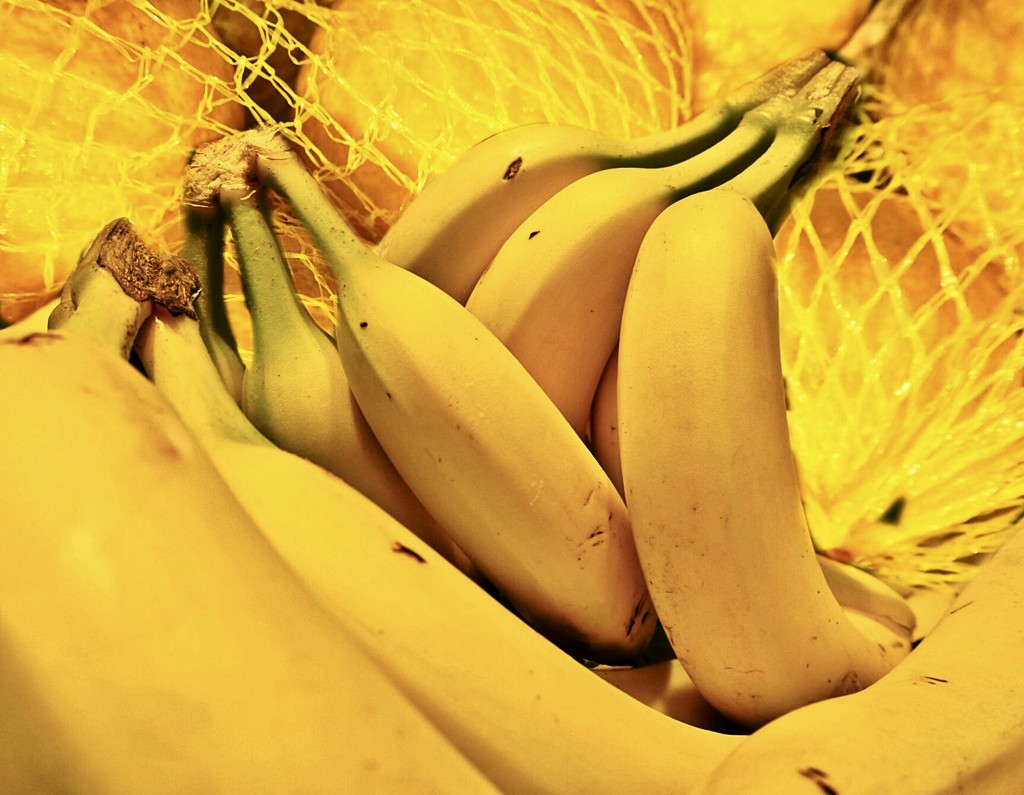 Lemons and Bananas by jacqbb