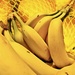 Lemons and Bananas by jacqbb