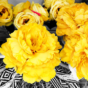 6th Mar 2019 - Yellow Roses 