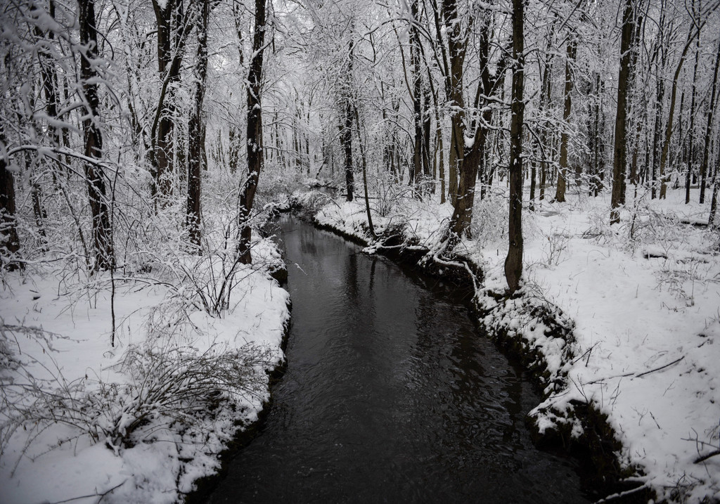 Snowy Brook  by loweygrace