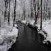 Snowy Brook  by loweygrace