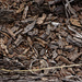 wood chips by rminer