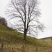 Lone Tree by 4rky