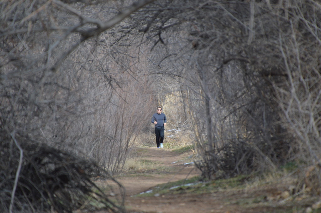 Jogger On A bosque Trail by bigdad