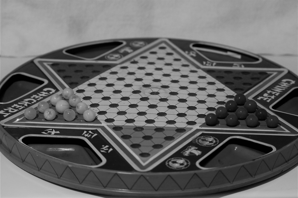March 7: Chinese Checkers by daisymiller
