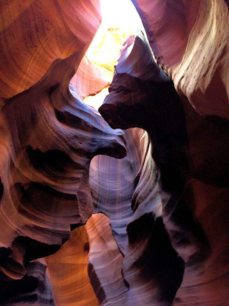 The Antelope of Antelope Canyon by gtoolman8