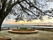 8th Mar 2019 - Charleston Harbor from Waterfront Park