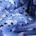 Baa Baa Blue Sheep by carole_sandford