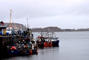 8th Mar 2019 - fishing boats