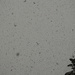 Snowfall, again by byrdlip