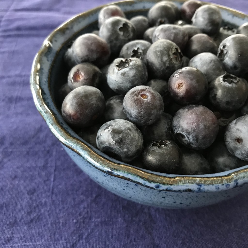 Blueberries  by beckyk365